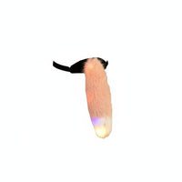 Performance Props Creature Ears Tail and Paws Set Soft Material Creature Cosplay Accessories Cute Giraffe Costume Set for Parties