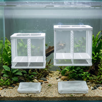 Fish Breeding Isolation Box with Net for Aquarium, Guppy Fry Hatchery and Nursery