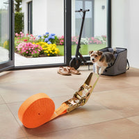 Secure Installation Electric Scooter Dog Seat Long-Lasting Metal Construction Small Dog Scooter Carrier Multi-Purpose for Outdoor, Commuting, Shopping