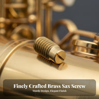 Strong Construction Key Height Adjustment Screw Corrosion Resistance SaxophA Single CompA Singlent Easy to Use Woodwind Repair Part for Saxophonists, Musicians, DIY Enthusiasts, Home Workshop, Music School
