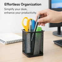 Desk Organizer Pen Holder, Metal Mesh Stationery for Office Home School, Wire Frame Desktop Storage for Pencils Brushes Adults