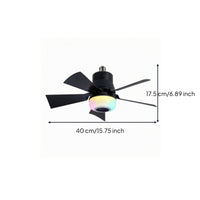 RGB Ceiling Fan Light Brightness Adjustable Home Device Timing