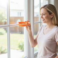 Window Bird Feeder Compact Suction Cup Bird Feeder Curved Perch