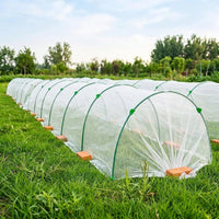 Tomato Greenhouse Fiberglass, Foil Tunnel for Raised Bed, 43cm Coated Rods, Small Greenhouse for Heat-Loving Plants