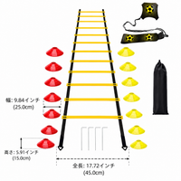 agility ladder set