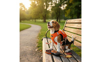 Adjustable Dog Harness with Backpack Long-Lasting Backpack Dog Harness Breathable Pet Gear Lightweight for Small Dogs, Walking, Outdoor