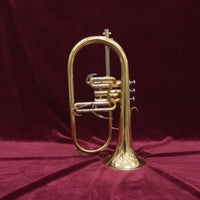 Flugelhorn with Case Rich for Beginners, Rehearsals