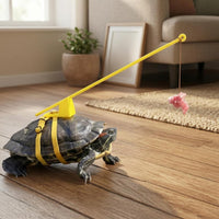 Turtle Walking Leash Telescopic Turtle Leash Harness Rod Handle Pet Tortoise Walking Rope for Outdoor