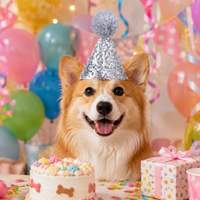 pet party hats