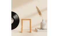 Vinyl Album Stand Accessible Design Album Holder Freestanding
