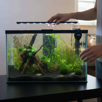 Digital Aquarium Thermometer High Precision USB-Charged Water Temperature Meter Touch to Wake