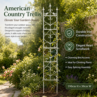 Iron Garden Trellis for Climbing Plants, Modular Plant Support for Outdoor Potted Plants, Staked Climbing Frame 171-200cm