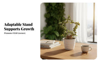Heart-Shaped Pot Trellis Desktop Size Mini Shaped Trellis Creative and elegance