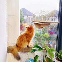 Cat Window Perch with 5 Strong Suction Cups, Wood Cat Shelf and Suction Cup Cat Perch, Simple Style Indoor Window-Mounted Area for Pets
