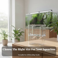 Aquatic Creature Breeding Box Protects Fry Aquatic Habitat Separation Box Aquatic Creature Breeding Hatchery Suction Holder