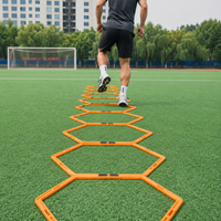 agility ladder