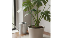 3 Pieces Plant Support Hoop Anti-Tip Flower Support Stake Easy to Install for Indoor Potted Plants, Garden, Greenhouse
