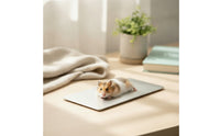 Hamster Cool Plate Metal Aluminum Cooling Plate Hamster Cooling Mat Flat for Hamsters