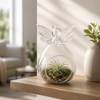 Angel Glass Terrarium Bottle for DIY Micro Landscape