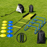 agility training equipment set