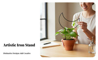 Heart-Shaped Pot Trellis Desktop Size Mini Shaped Trellis Creative and elegance