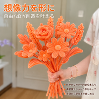 DIY chenille stem craft kit