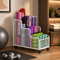 mobile storage rack