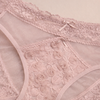 Women's Underwear with Lace Trim and Gusset for Everyday Wear, Breathable Mesh Knickers with Wide Waistband for Daily Use