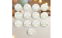 13 Pieces Monthly Developmental Discs Baby Developmental Discs Botanical