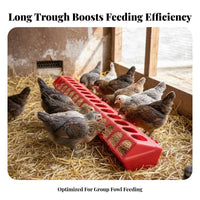 Multi-Hole Avian Trough Easy to Clean Stretched Avian Feeder Reduces Food Waste Chicken Feeding Tray for Pigeons, Backyard Coop, Aviary