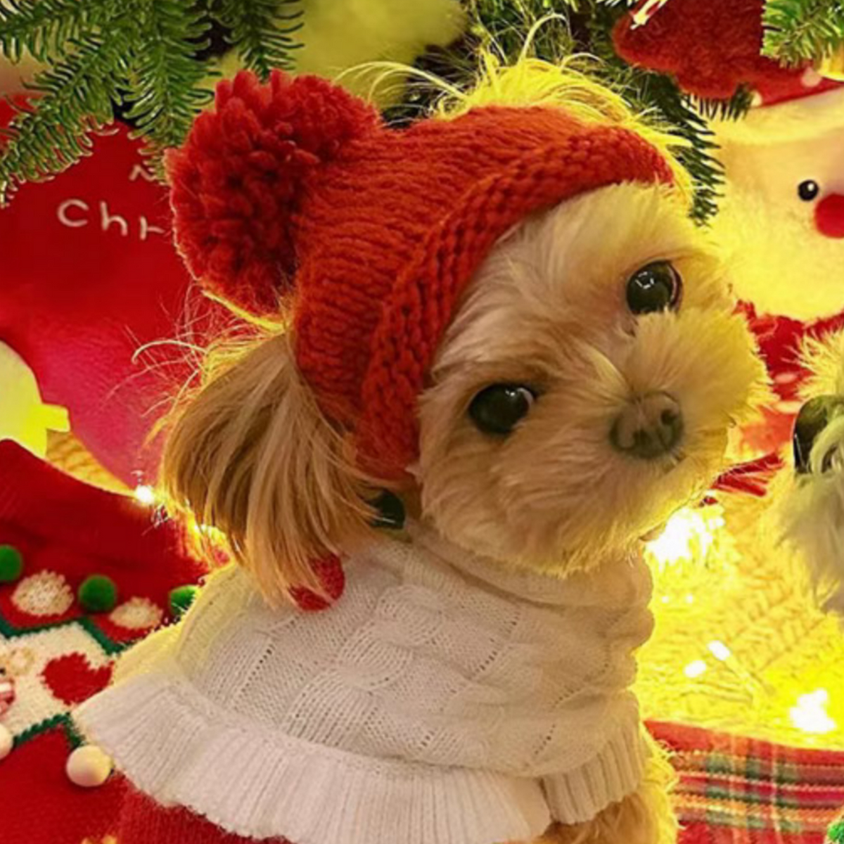 Dog Coat, Waterproof Adjustable Jacket for Small Dogs