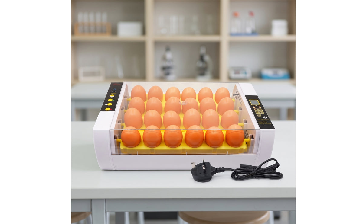 See-Through Electric Egg Incubator Corded Egg Incubator with Transparent Lid Temperature Control Compact for Hobbyists, Classroom