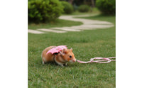 Hamster Leash and Harness Long-Lasting Hamster Walking Leash Comfortable