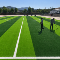 artificial turf