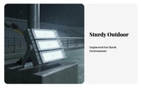 Die-Cast Aluminum Body LED Module Floodlight Energy Saving High Power Stadium Light Good Heat Dissipation for Tunnel, Plaza, Building Facade