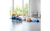 Dog Cooling Mat Washable Pet Cooling Mat Easy to Clean for Dogs, Cats, Summer, Travel, Car