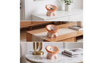 Lion Storage Bowl Decorative Lion Catchall Bowl Compact for Entryway, Desk, Dorm Rooms
