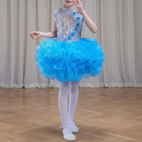 School Choir Uniform Soft Tulle Skirt Girls' Glitter Ballet Skirt Dress Boys' Glitter Performance Outfit Bright Hues
