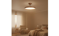 Metal Flush Mount Ceiling Light LED Low-Clearance Ceiling Light Hardwired Fixture Daylight for Hallway