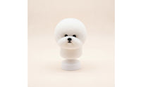 Pet Grooming Practice Head Dog Grooming Mannequin with Hair Smooth