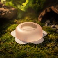 Semi-Transparent Reptile Feeding Bowl Translucent Feeding Dish Low-Profile Reptile Bowl Anti-Escape