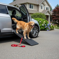Folding Dog Ramp Foldable Anti-Slip Dog Ramp PP Material for Large Dogs