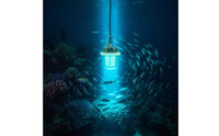 Underwater Fishing Light LED Fishing Light with 60 LEDs Lamp 12V/24V 24W for Night Fishermen