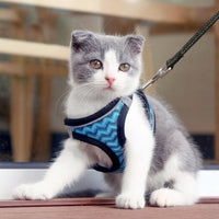 Cat Vest Harness with Soft Mesh, Cat Walking Harness for Small Breeds, reliable cat Leash Attachment for Outdoor Walking Gear
