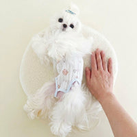 Four-Leg Belly Wrap Jumpsuit and Breathable Pet Clothes, Sleeveless Sun Protection Dog Suit, Printed Post-Surgery Pet Suit for Recovery and Pets