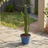 Metal Plant Trellis Tall Trellis with Grid Top Vertical for Gardeners, Flowerpot, Balcony, Greenhouse