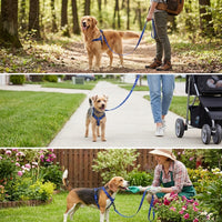 Small Dog Harness and Small Dog Leash Nylon Pet Dog Walking Set and Cat Walking Set, Not Retractable Training Outdoor Walking Gear