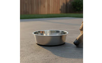 Stainless Canine Bowl Leak-Resistant Stainless Steel Pet Bowl Rustproof Non-Slip Dog Dish for Large Dogs, Pets