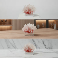 Coral Sculpture with Acrylic Base Tabletop Coral Sculpture Translucent Resin Ornament with Base for Living Room, Office Desk
