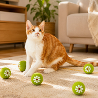 pet toy balls